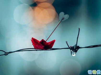 下雨的說說唯美傷感大全2019 一個(gè)人的下雨天傷感說說2