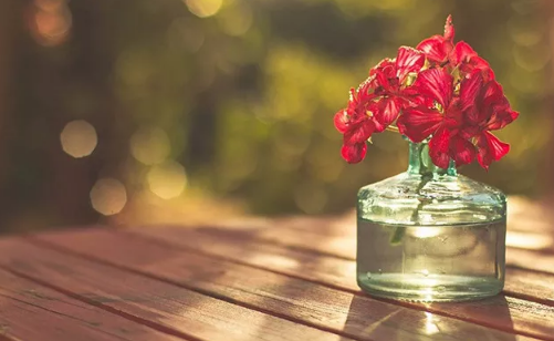 心里好煩用一段話表達(dá)的句子心情 形容焦慮的心情句子配圖13