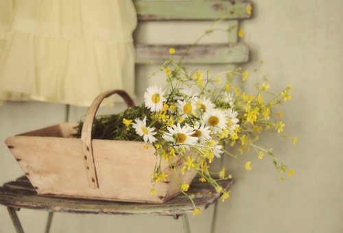 社會現(xiàn)實人情冷暖句子帶圖片 現(xiàn)實又很扎心的句子看透一切配圖11