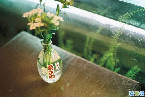 簡簡單單很干凈的愛情說說帶圖片 該留下來的人總會(huì)一直在的4