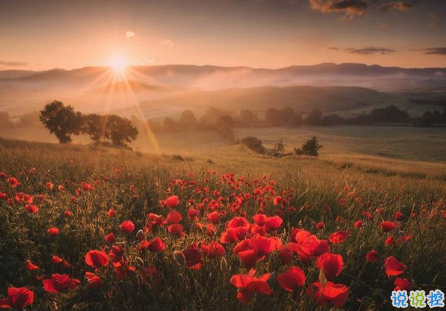 很扎心但很有道理的勵(lì)志說(shuō)說(shuō)帶圖片 激勵(lì)人心的很現(xiàn)實(shí)的一句話說(shuō)說(shuō)3