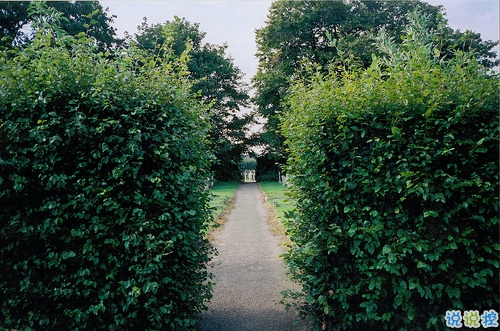 抖音最火經(jīng)典說說致自己 最新個(gè)人說說經(jīng)典勵(lì)志帶圖片8