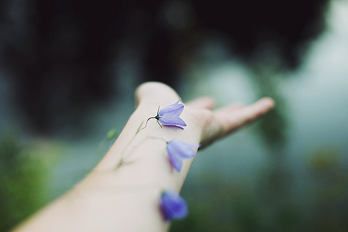 很勵(lì)志的正能量說說帶圖片 我有孤勇一腔起于星光止于他鄉(xiāng)10