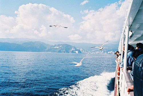 最新知乎上很火的優(yōu)美文藝的唯美說說帶圖片4