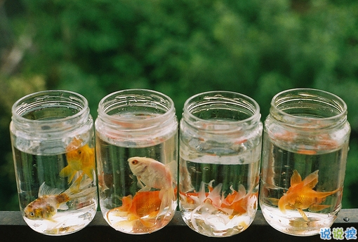 簡單而又唯美有哲理的英文說說帶圖片 你醒在別人的夢里7