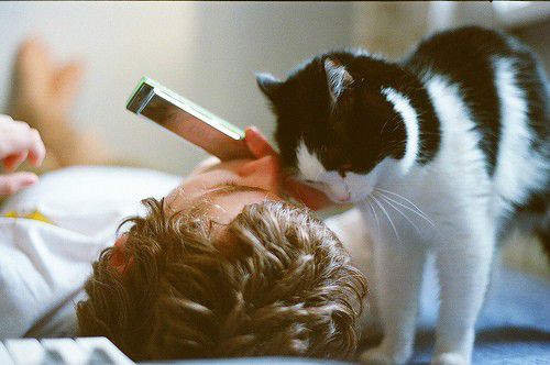 一些國(guó)外小說影視電影中的經(jīng)典英文句子精選2