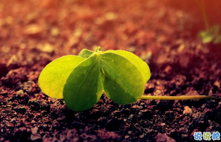 表示無(wú)聊的朋友圈說(shuō)說(shuō)帶圖片：無(wú)聊，是人生的一種正?，F(xiàn)象11