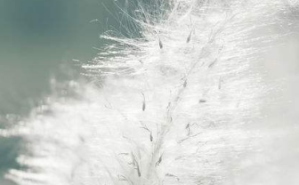 在夢(mèng)里也會(huì)潸然淚下的說(shuō)說(shuō)帶圖 如果時(shí)光倒流峩捫能抓得住什么8