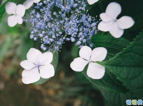 決定放手不愛了傷感說(shuō)說(shuō) 好愛好愛卻不能在一起的傷感說(shuō)說(shuō)1