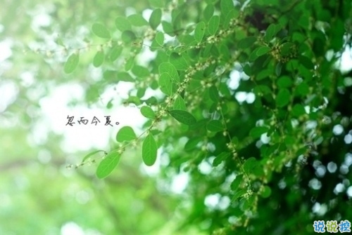 讓人撕心裂肺的唯美說(shuō)說(shuō)配圖 愛(ài)令人窒息的句子大全帶圖片8