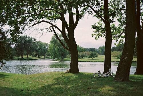 關(guān)于成長人生和愛情的美到讓人心碎的說說帶圖片14
