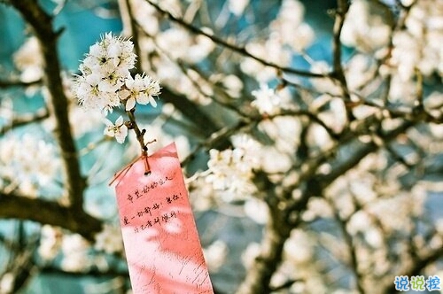 比較特別的女生說說2019精選帶圖片 忍不住想點(diǎn)贊的女生說說7