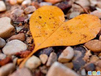 2019年第一天微信早安說說 豬年早安說說大全2