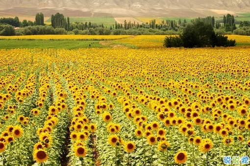 女生治愈系說(shuō)說(shuō)簡(jiǎn)短好聽(tīng)?zhēng)D片 可以幫你療傷的愛(ài)情說(shuō)說(shuō)10