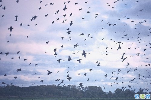 關于人生和成長還有青春的有道理的溫暖句子13