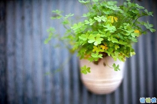 值得收藏的人生大道理勵(lì)志說(shuō)說(shuō)帶圖片 好聽(tīng)的激勵(lì)人心的說(shuō)說(shuō)配圖11