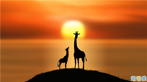 姑娘，我有15句悄悄話說給你聽。5