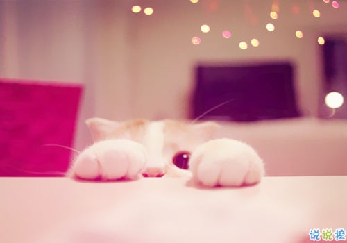 萌萌噠的可愛(ài)說(shuō)說(shuō) 惹人喜歡必評(píng)的可愛(ài)說(shuō)說(shuō)精選1