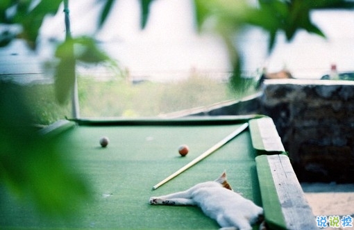 2019豬年除夕祝福語說說簡(jiǎn)短 致所有人的豬年暖心祝福2