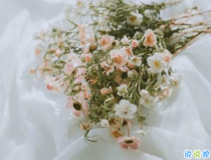 表白小情話最用心也是最走心的 成功率99%的告白情話合集1