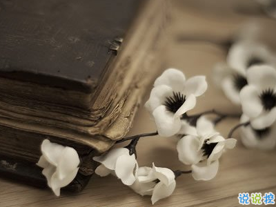 很現(xiàn)實(shí)的人生感悟經(jīng)典句子 人生感悟句句精辟帶圖片8