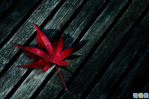 2019干凈唯美的說說帶圖片 最優(yōu)美好聽的朋友圈唯美說說9