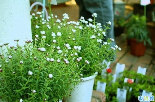 值得收藏的人生大道理勵(lì)志說(shuō)說(shuō)帶圖片 好聽(tīng)的激勵(lì)人心的說(shuō)說(shuō)配圖7