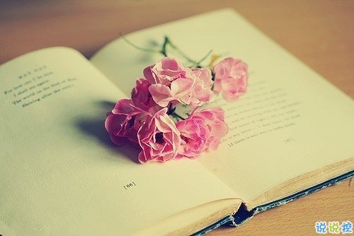 干凈文藝小短句帶圖片 2019抖音值得珍藏的文藝句子14