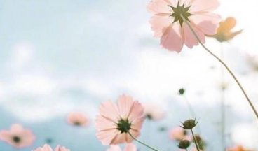 七月早安正能量勵(lì)志哲理說(shuō)說(shuō)帶圖 早安！七月！14