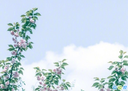 說(shuō)到心坎的傷感說(shuō)說(shuō)帶圖片戳中你的內(nèi)心 失落又心痛發(fā)朋友圈說(shuō)說(shuō)精選4