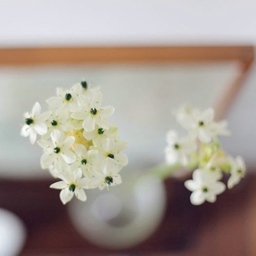 很勵志正能量的早安心語說說帶圖片14