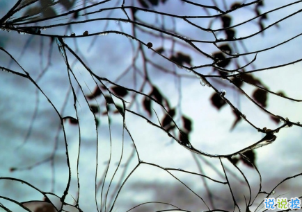 很唯美的愛情說說帶圖片大全 別因?yàn)樘珢垡粋€(gè)人而失去了自己7