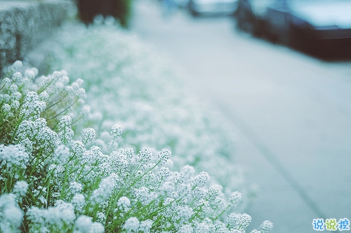 獨一無二朋友圈個性說說帶圖片 感謝相識不計消失回頭是狗2