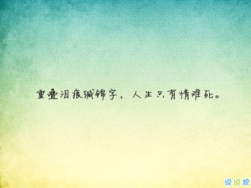 唯美有意境古詩句子帶圖片 寫入心間的傷感詩句14