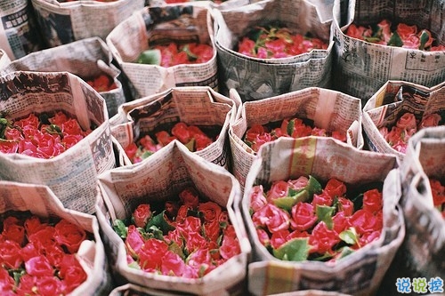 抖音最火經(jīng)典說說致自己 最新個(gè)人說說經(jīng)典勵(lì)志帶圖片6