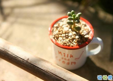 2019最流行的唯美傷感說說 有一個人總能讓你牽腸掛肚2