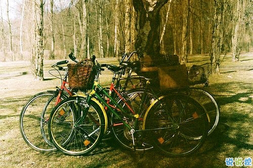 帶圖片的勵(lì)志說(shuō)說(shuō)人生感悟 別辜負(fù)了你的野心也別對(duì)不起你受的苦3