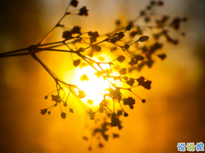 2019復活節(jié)祝福語英文大全帶翻譯配圖 復活節(jié)快樂說說致所有人9