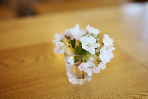 很含蓄唯美的藏頭詩說說帶圖片文字控會很喜歡1