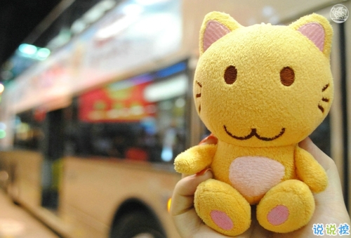 2019愚人節(jié)表白句子大全帶圖片 四月一日愚人節(jié)表白情話(huà)3