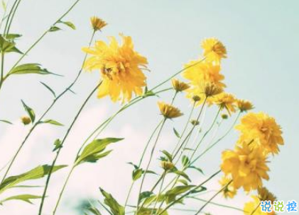 戀愛中很幸福的唯美情話2018精選 很享受愛情的唯美說說11