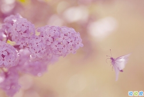 獨(dú)一無(wú)二的qq個(gè)性說(shuō)說(shuō)帶圖片 充滿陽(yáng)光的經(jīng)典說(shuō)說(shuō)20193