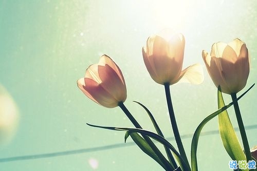 個性霸氣勵志短語說說大全 比較成熟有內涵的個性說說5