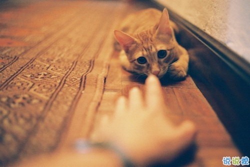 讓人不得不服的經(jīng)典說(shuō)說(shuō)帶圖片 2019朋友圈很流行的經(jīng)典說(shuō)說(shuō)7