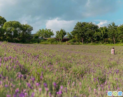睡覺前的朋友圈晚安說說帶圖片 晚安心語說說心靈雞湯配圖7