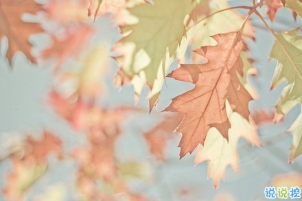 男生傷感說說心好累了 男生發(fā)朋友圈的傷感難過句子1