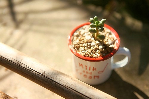 超勵志的感悟人生的說說和圖片 幸福沒有明天只有現(xiàn)在3