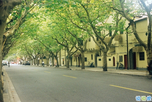 心好累的傷感說(shuō)說(shuō)非主流帶圖片 喜歡一個(gè)人卻得不到的悲傷說(shuō)說(shuō)10