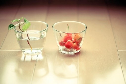 適合心情不好沮喪時(shí)看的勵(lì)志正能量說說帶圖片 應(yīng)該更積極地想辦法而不是努力地找退路8