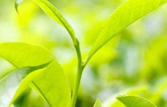 在夢(mèng)里也會(huì)潸然淚下的說(shuō)說(shuō)帶圖 如果時(shí)光倒流峩捫能抓得住什么4